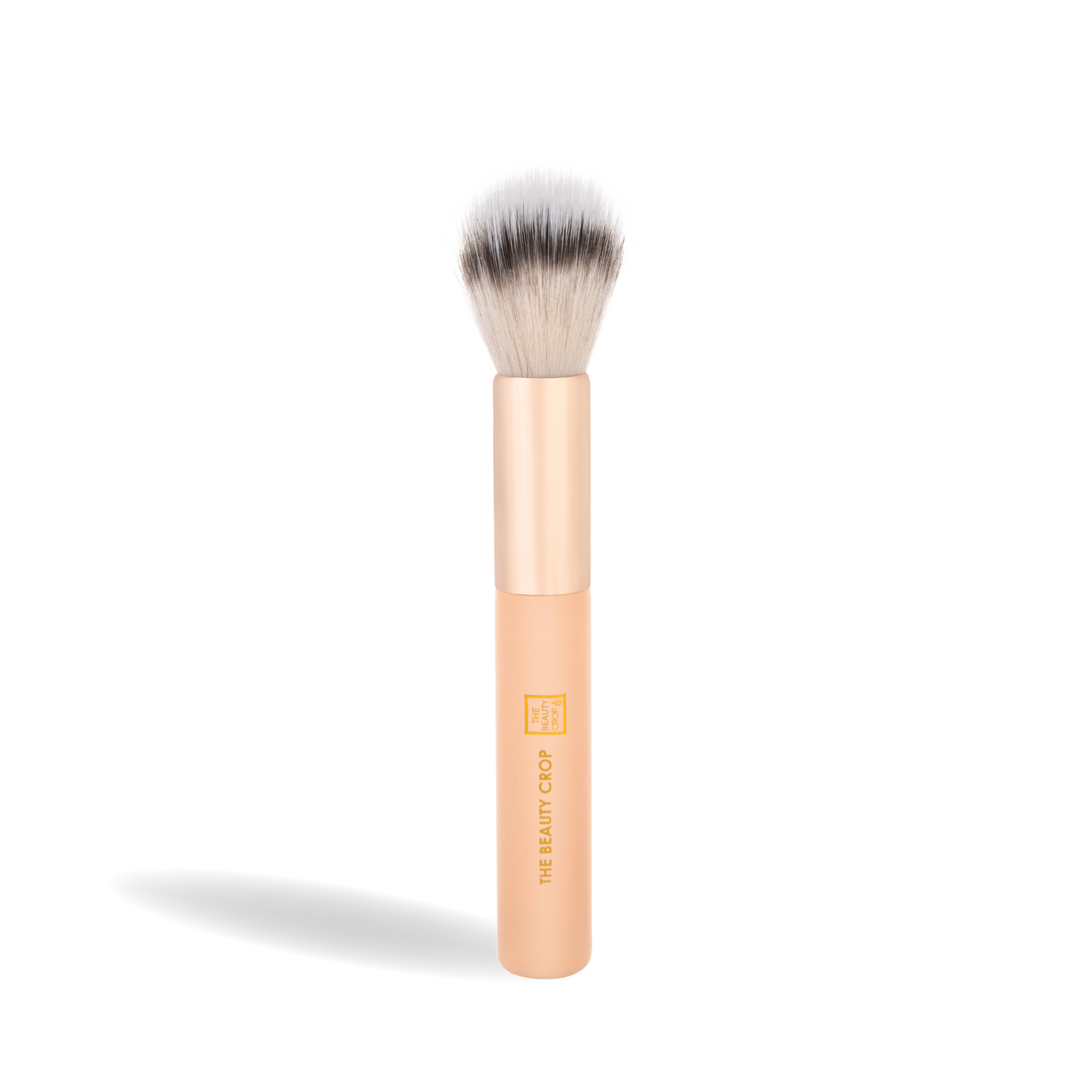 Makeup Brushes