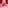 25 Days of The Beauty Crop Advent Calendar