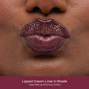 Aisha Lip Kit