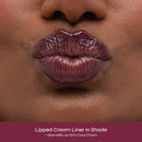 Aisha Lip Kit