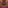 Aisha Lip Kit