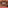 Aisha Lip Kit