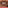 Aisha Lip Kit