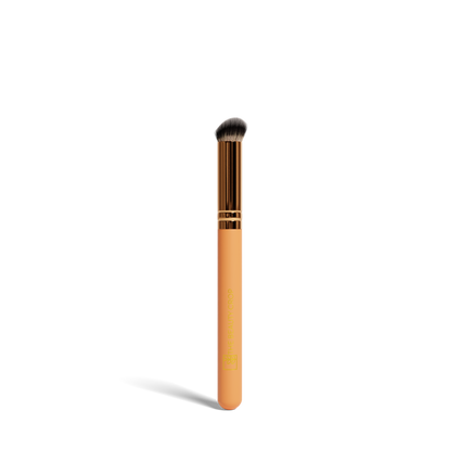 Makeup Brushes