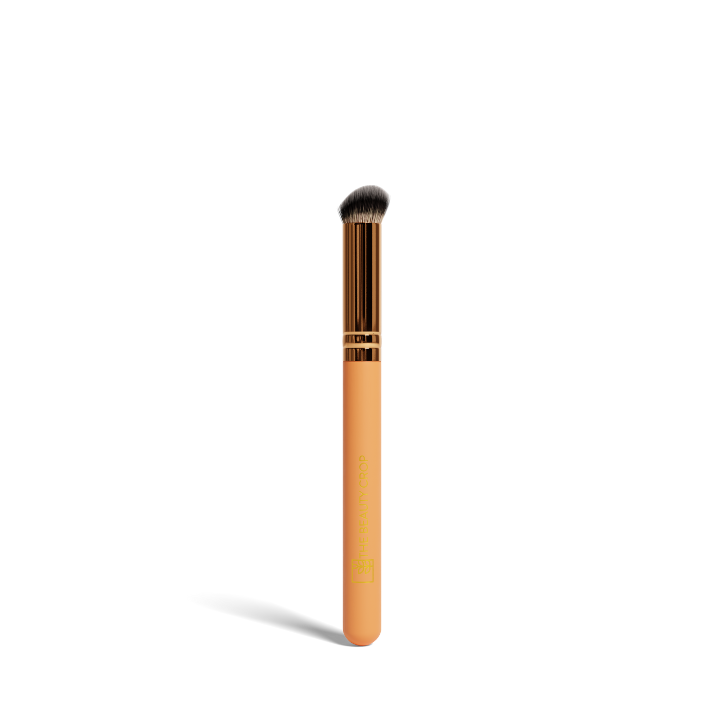 Makeup Brushes