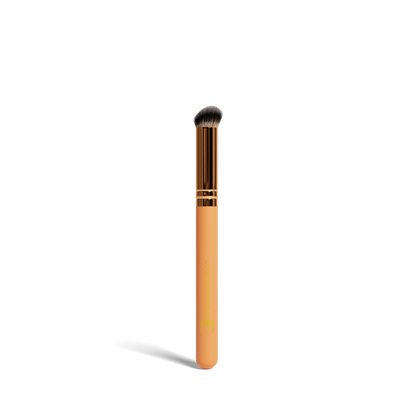 Makeup Brushes