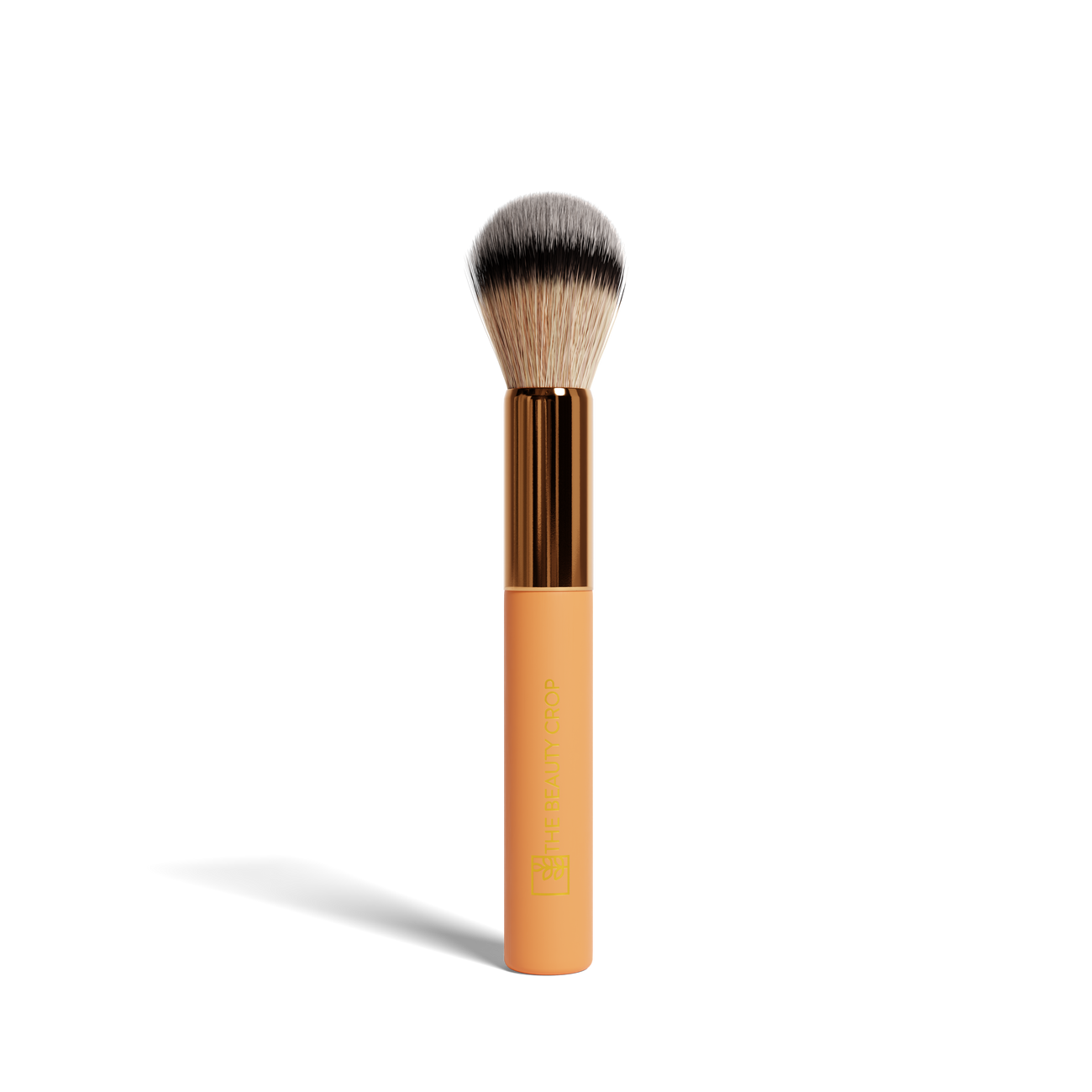 Makeup Brushes