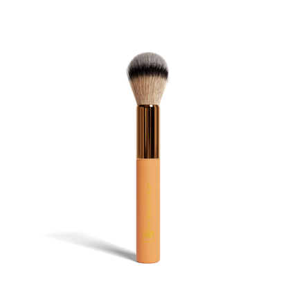 Makeup Brushes