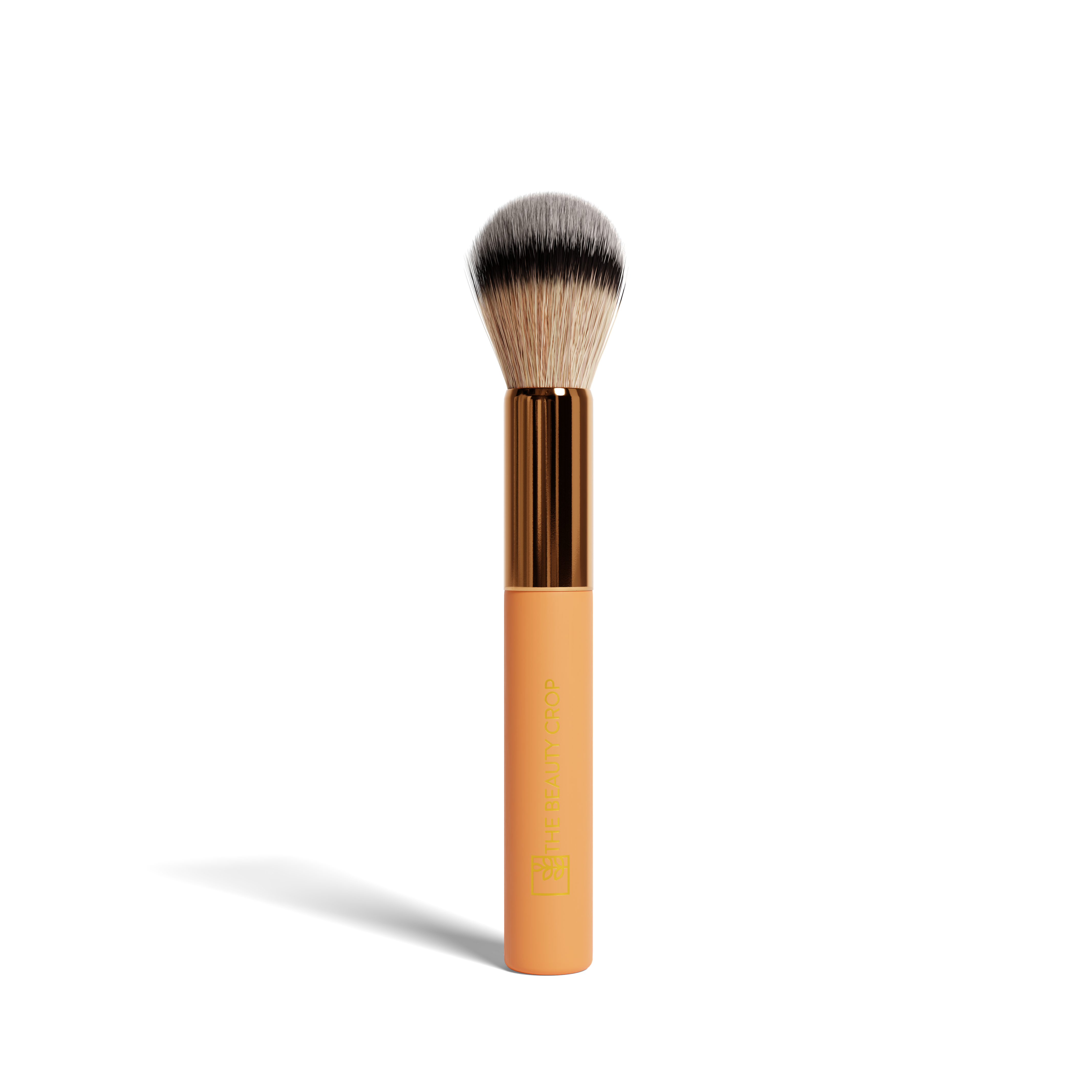 Makeup Brushes