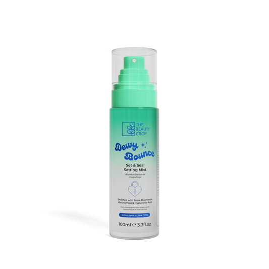 Dewy Bounce Seal & Set Mist